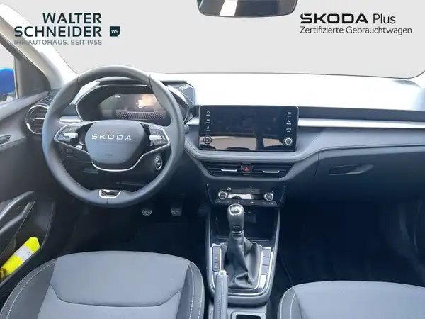 ŠKODA FABIA (10/20)