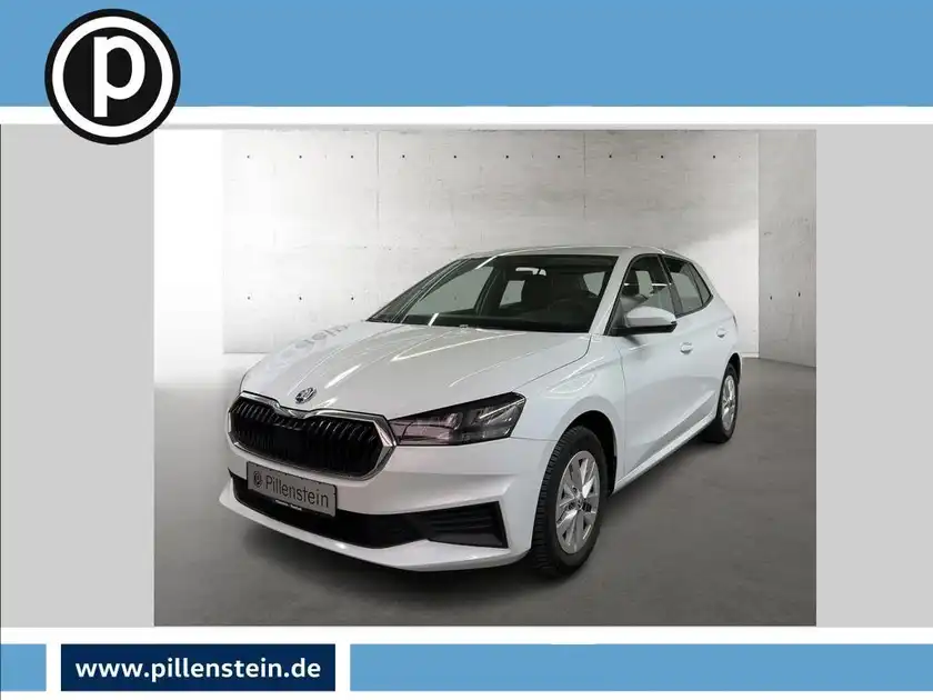 ŠKODA FABIA (1/13)