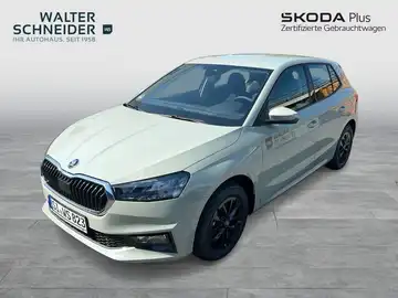 Das Bild zeigt einen ŠKODA FABIA in hellgrau von der Seite. Das Händlerlogo "WALTER SCHNEIDER" ist eingeblendet, ebenso ein Hinweis auf "SKODA Plus".