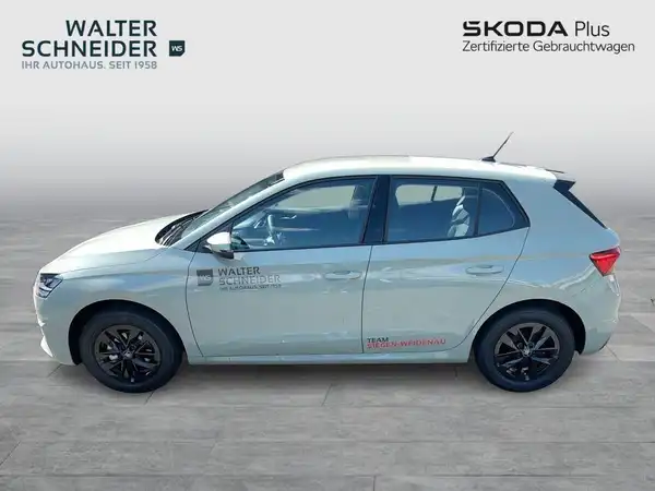 ŠKODA FABIA (2/19)