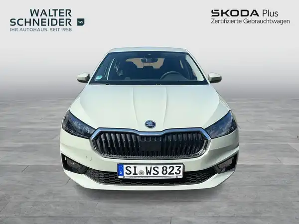 ŠKODA FABIA (8/19)