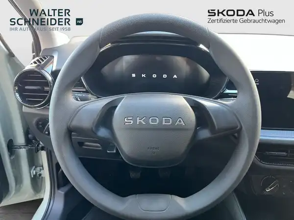 ŠKODA FABIA (12/20)