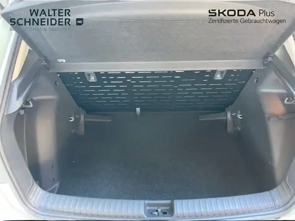 ŠKODA FABIA (20/20)