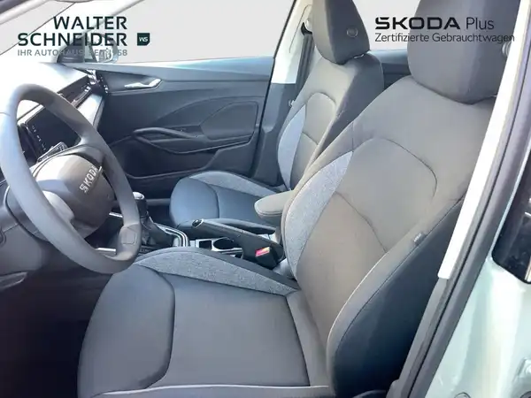 ŠKODA FABIA (10/20)