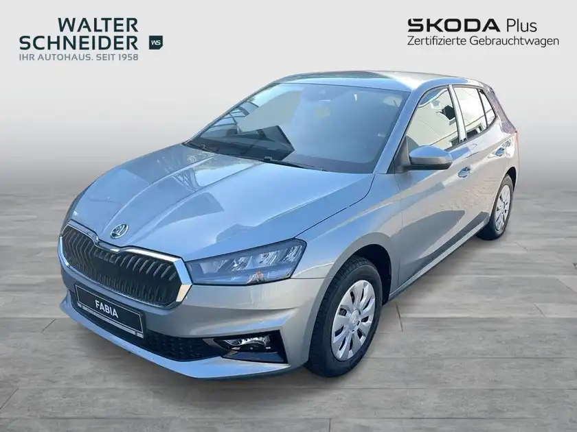 Das Bild zeigt einen silbernen ŠKODA FABIA von vorne. Es enthält das Händlerlogo 'WALTER SCHNEIDER' und weitere markante Texteinblendungen.