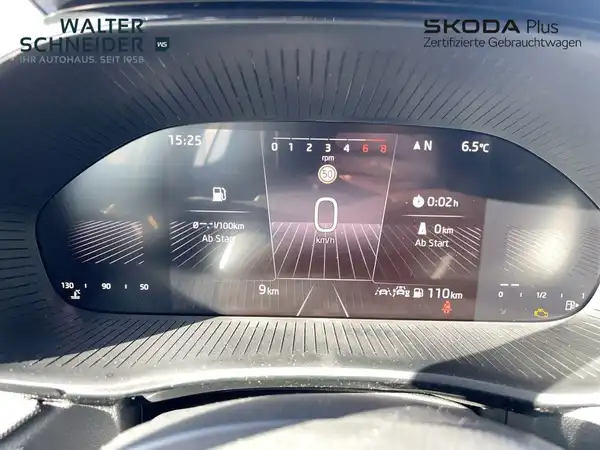ŠKODA FABIA (10/14)