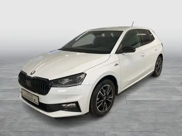 ŠKODA FABIA (1/29)