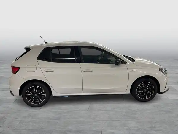 Das Bild zeigt ein Fahrzeug, einen ŠKODA FABIA, von der Seite in weißer Farbe.