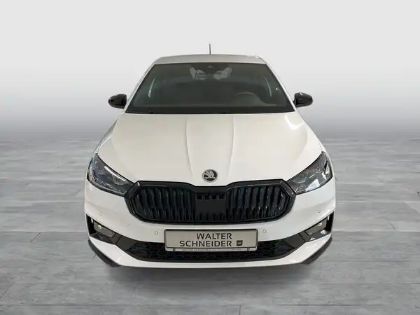 Das Bild zeigt einen weißen ŠKODA FABIA von vorne. Das Händlerlogo 'WALTER SCHNEIDER' ist sichtbar.