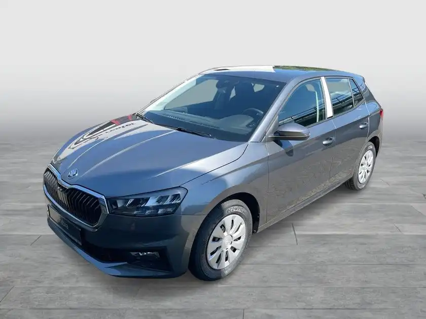 Das Bild zeigt einen grauen ŠKODA FABIA von der Seite.