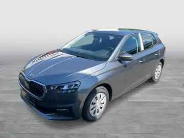 Das Bild zeigt einen grauen ŠKODA FABIA von der Seite.
