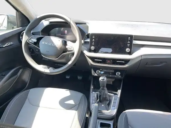 ŠKODA FABIA (10/14)