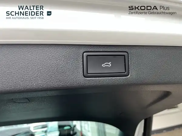ŠKODA KAMIQ (12/21)