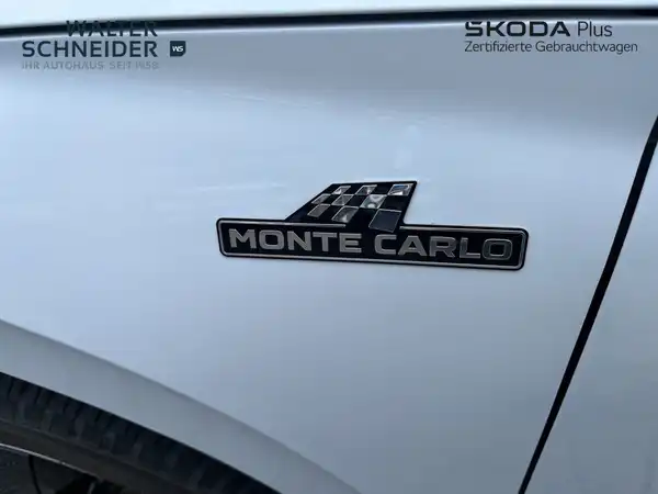 ŠKODA KAMIQ (15/21)