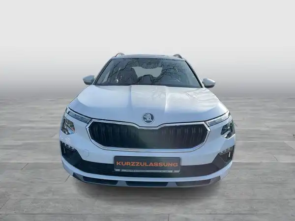 ŠKODA KAMIQ (8/18)