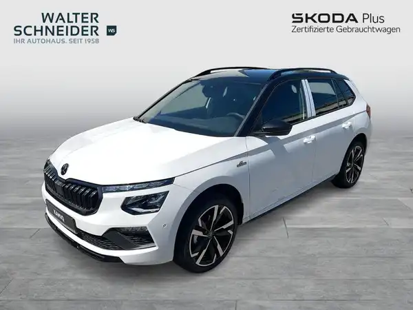 ŠKODA KAMIQ (1/20)