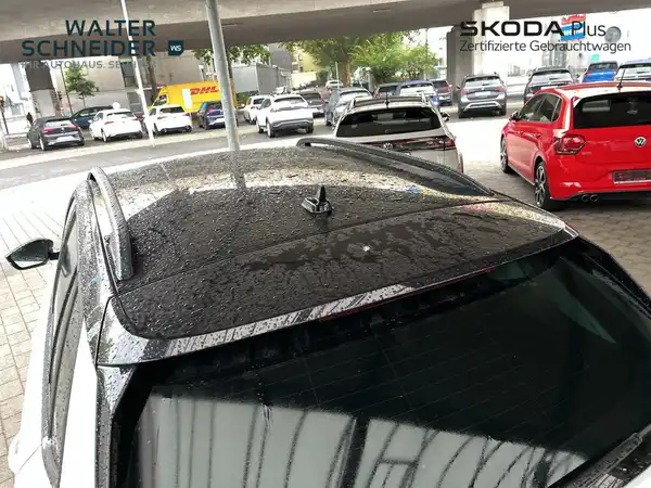 ŠKODA KAMIQ (14/20)