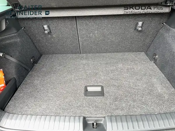 ŠKODA KAMIQ (11/21)