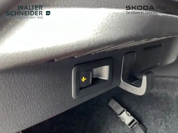 ŠKODA KAMIQ (12/21)