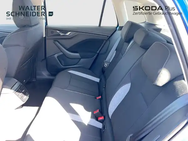 ŠKODA KAMIQ (12/17)
