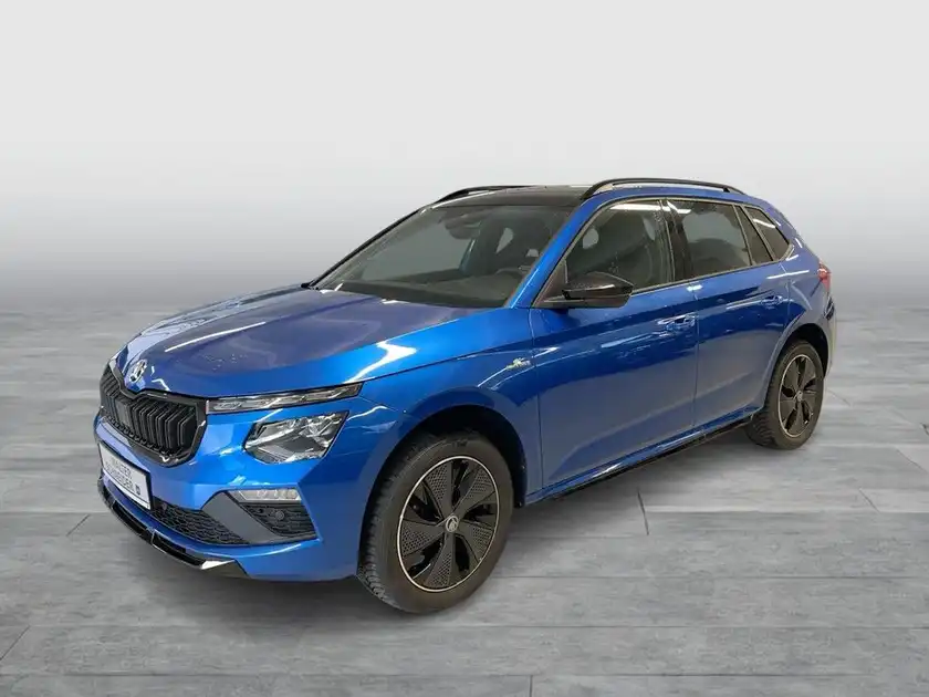 ŠKODA KAMIQ (1/28)