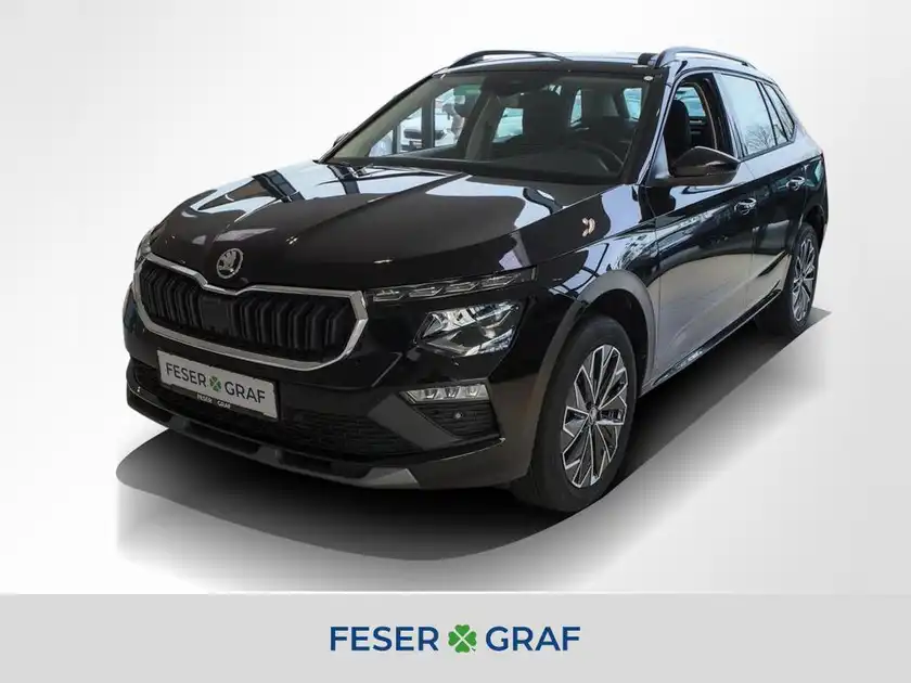 Skoda Feser Nurnbergnull