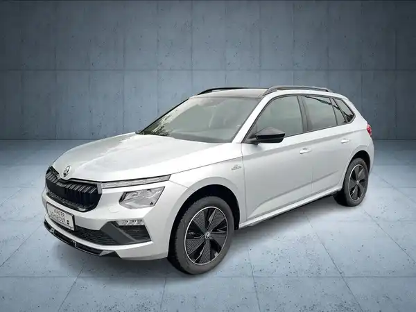 ŠKODA KAMIQ (1/28)