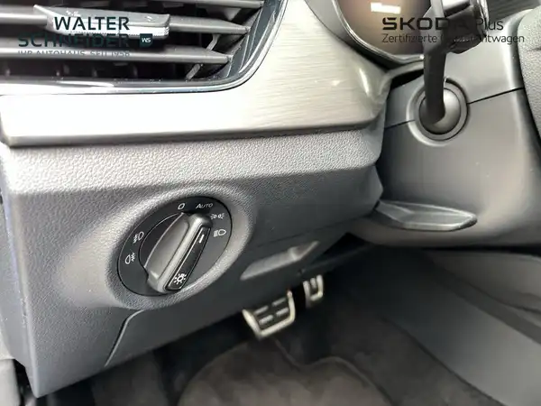 ŠKODA KAMIQ (17/21)