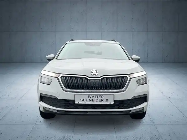 ŠKODA KAMIQ (8/18)