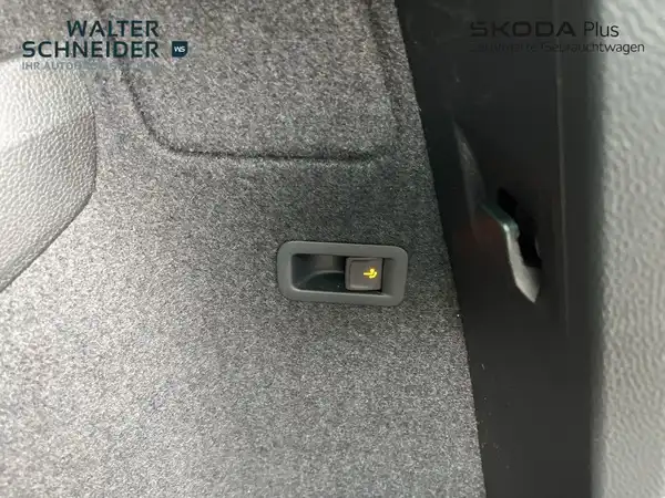 ŠKODA KAROQ (12/21)