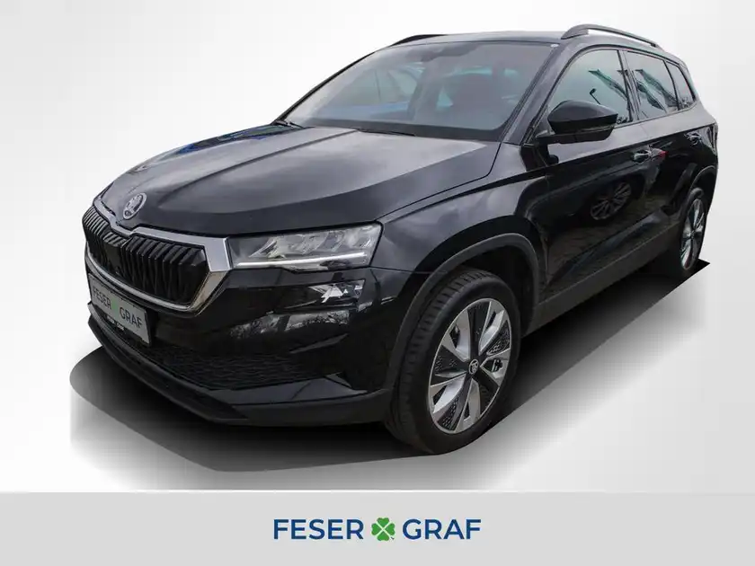 Skoda Feser Nurnbergnull