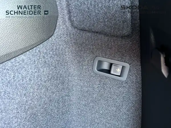ŠKODA KAROQ (11/20)