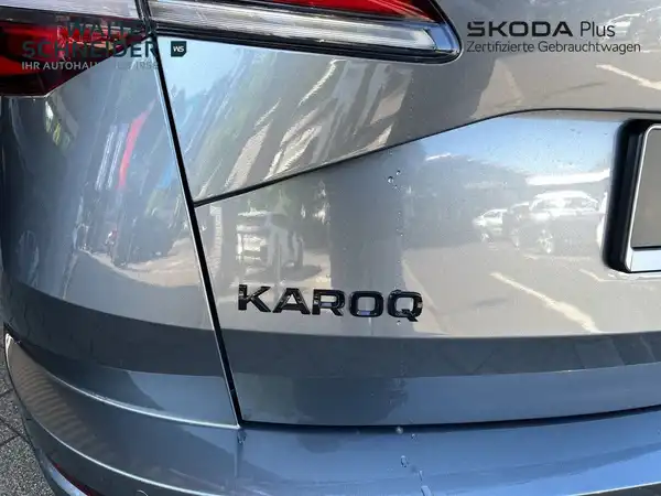 ŠKODA KAROQ (12/20)