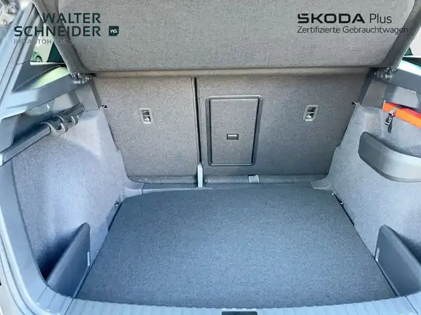 ŠKODA KAROQ (10/20)