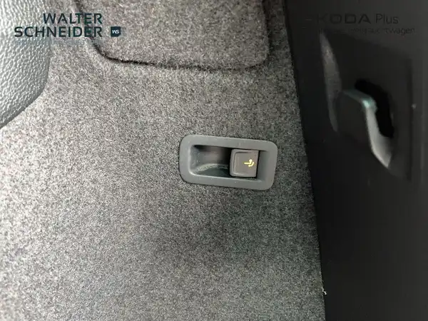 ŠKODA KAROQ (10/21)
