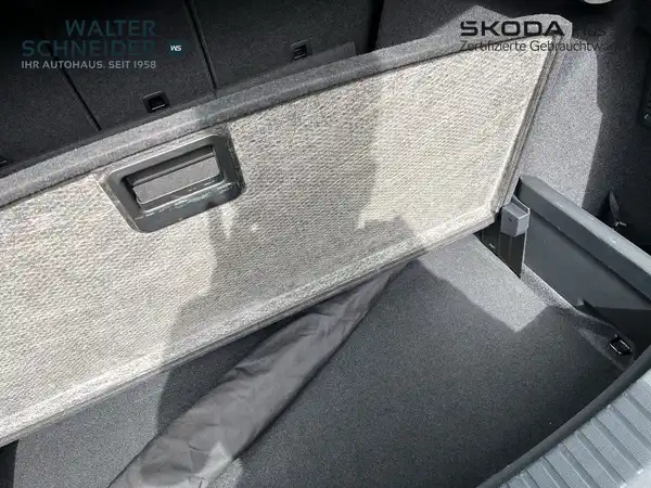 ŠKODA KODIAQ (11/21)
