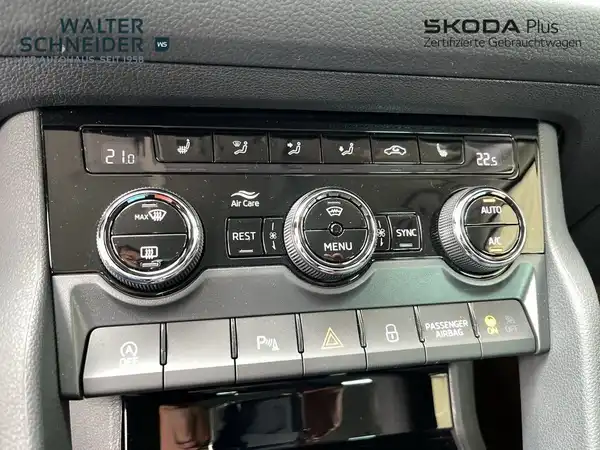 ŠKODA KODIAQ (20/21)