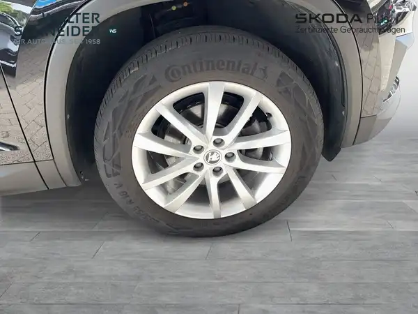 ŠKODA KODIAQ (6/21)