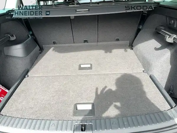 ŠKODA KODIAQ (10/21)