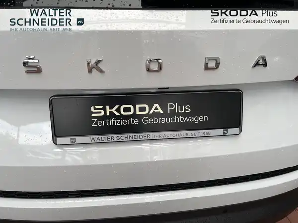 ŠKODA KODIAQ (12/21)