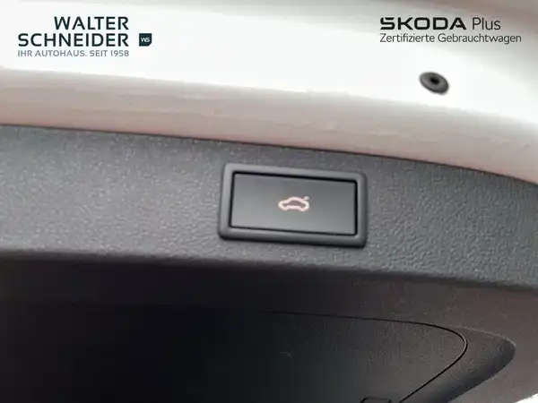 ŠKODA KODIAQ (10/21)
