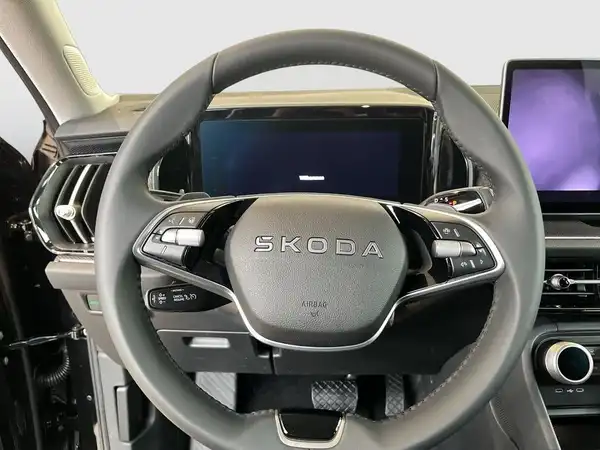 ŠKODA KODIAQ (16/17)