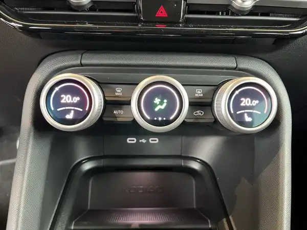ŠKODA KODIAQ (17/17)