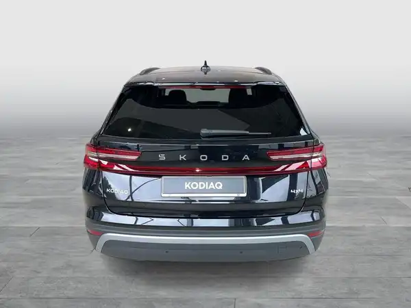 ŠKODA KODIAQ (4/17)