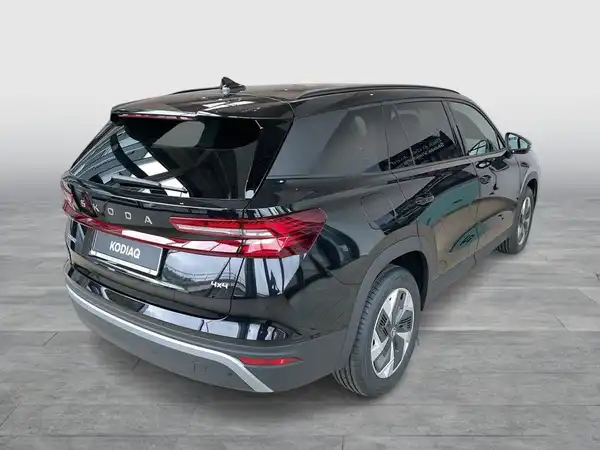 ŠKODA KODIAQ (5/17)
