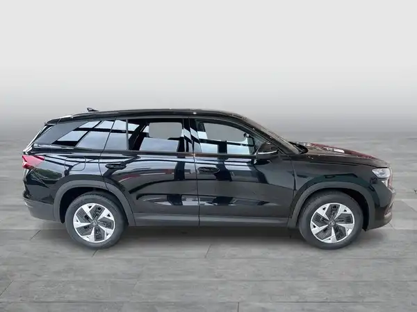 ŠKODA KODIAQ (6/17)
