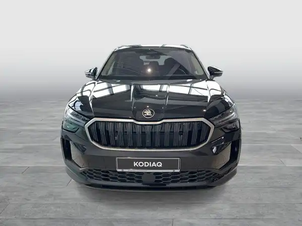ŠKODA KODIAQ (8/17)