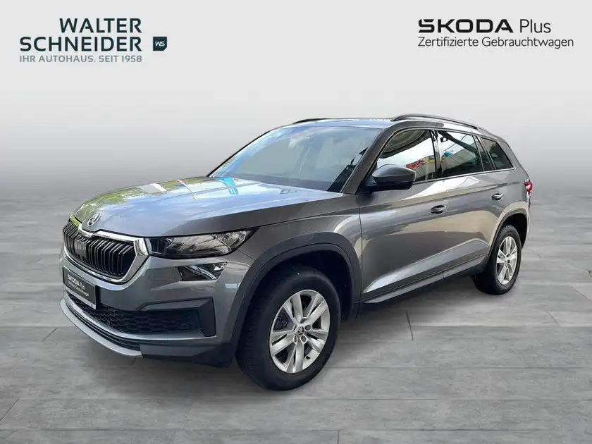 Das Bild zeigt einen grauen ŠKODA Kodiaq von der Seite. Im Hintergrund sind das Händlerlogo sowie weitere Texteinblendungen sichtbar.