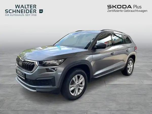 Das Bild zeigt einen grauen ŠKODA Kodiaq von der Seite. Im Hintergrund sind das Händlerlogo sowie weitere Texteinblendungen sichtbar.