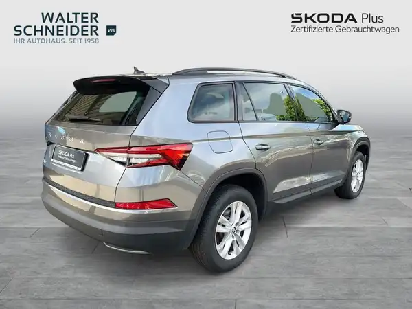 Das Bild zeigt einen grauen ŠKODA KODIAQ aus der Seitenansicht. Im Hintergrund sind das Händlerlogo 'WALTER SCHNEIDER' und 'SKODA Plus' zu sehen.